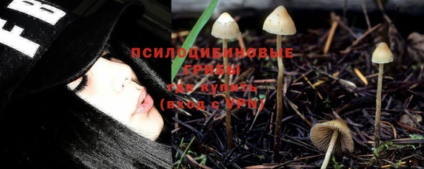 ALPHA PVP Белокуриха